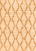 Serging Thickness of Machine Washable Trellis Orange Modern Area Rugs, wshcon3045org