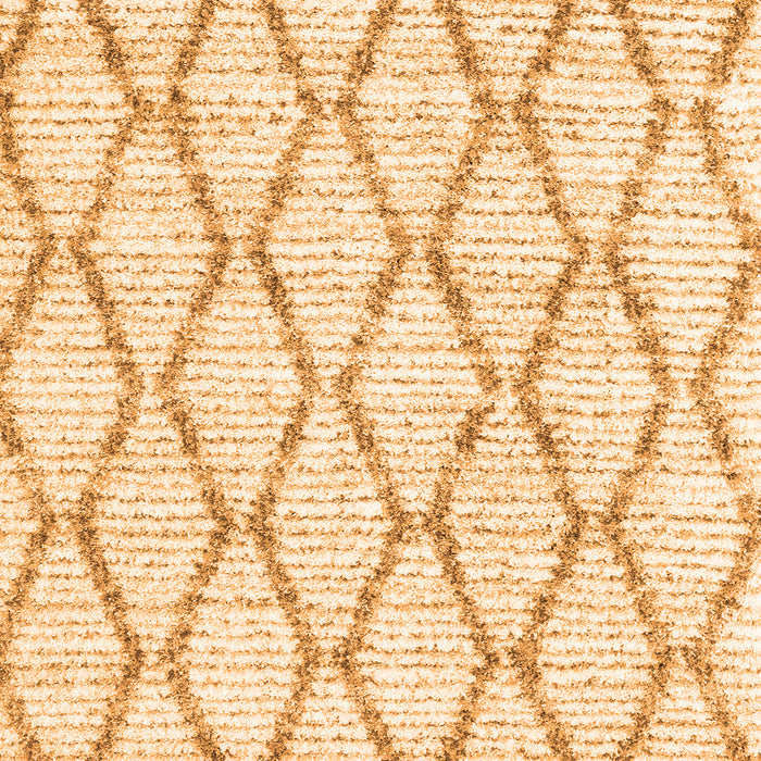 Serging Thickness of Machine Washable Trellis Orange Modern Area Rugs, wshcon3045org