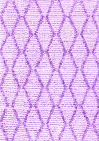 Trellis Purple Modern Rug, con3045pur