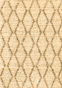 Trellis Brown Modern Rug, con3045brn