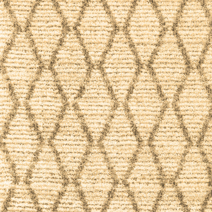 Trellis Brown Modern Rug, con3045brn