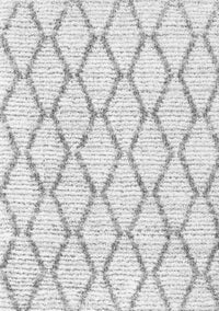 Trellis Gray Modern Rug, con3045gry