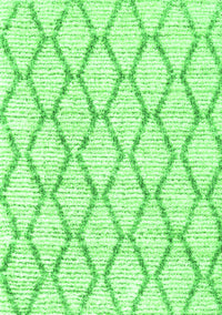 Trellis Green Modern Rug, con3045grn