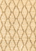 Machine Washable Trellis Brown Modern Rug, wshcon3045brn