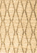 Machine Washable Trellis Brown Modern Rug, wshcon3047brn