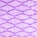 Square Trellis Purple Modern Rug, con3047pur