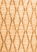 Trellis Orange Modern Rug, con3047org