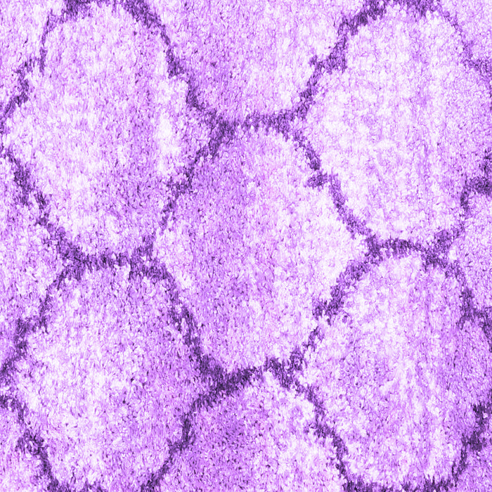 Machine Washable CON3048X Purple CON3048X Area Rugs, wshcon3048pur