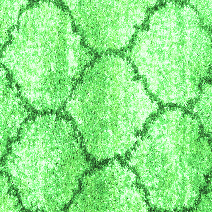 Serging Thickness of Machine Washable CON3048X Green CON3048X Area Rugs, wshcon3048grn