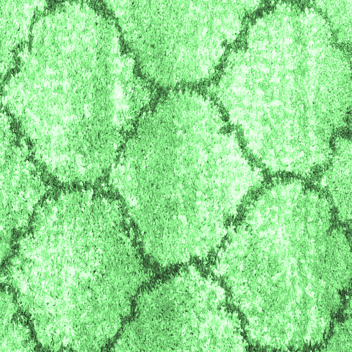 Machine Washable CON3048X Emerald Green CON3048X Area Rugs, wshcon3048emgrn