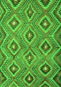 Southwestern Green Country Rug, con3051grn