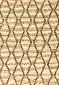 Trellis Brown Modern Rug, con3055brn