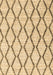 Trellis Brown Modern Rug, con3055brn