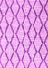 Machine Washable Trellis Pink Modern Rug, wshcon3055pnk