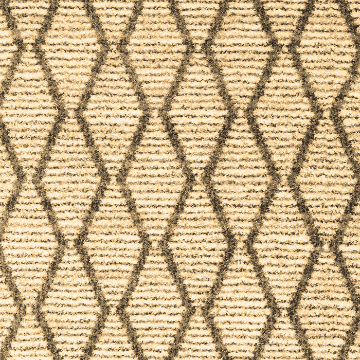 Machine Washable Trellis Brown Modern Rug, wshcon3055brn