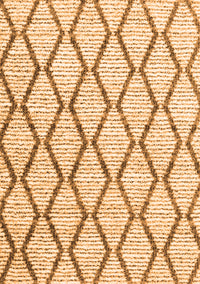 Trellis Orange Modern Rug, con3055org