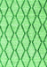 Serging Thickness of Machine Washable Trellis Green Modern Area Rugs, wshcon3055grn