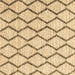 Square Machine Washable Trellis Brown Modern Rug, wshcon3055brn