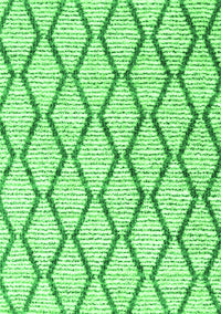 Trellis Green Modern Rug, con3055grn