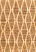 Serging Thickness of Machine Washable Trellis Orange Modern Area Rugs, wshcon3056org