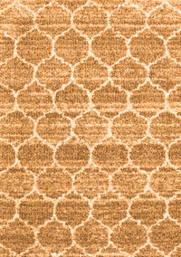 Trellis Orange Modern Rug, con3057org