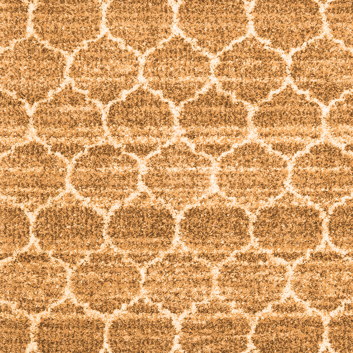 Trellis Orange Modern Rug, con3057org