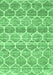 Trellis Emerald Green Modern Rug, con3057emgrn