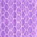 Square Trellis Purple Modern Rug, con3057pur