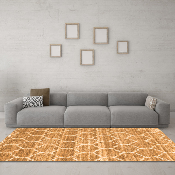 Machine Washable Trellis Orange Modern Area Rugs in a Living Room, wshcon3057org