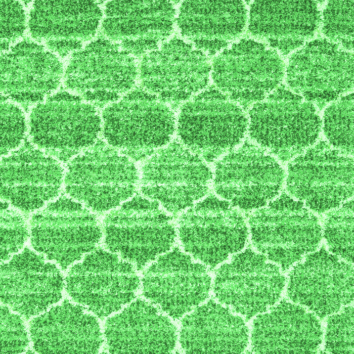 Trellis Green Modern Rug, con3057grn