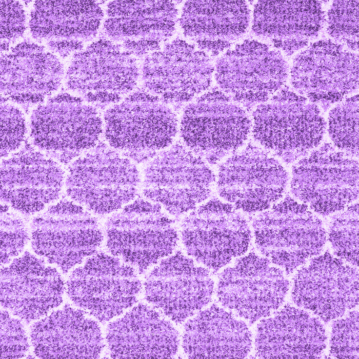 Machine Washable Trellis Purple Modern Area Rugs, wshcon3057pur