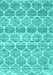 Trellis Turquoise Modern Rug, con3057turq