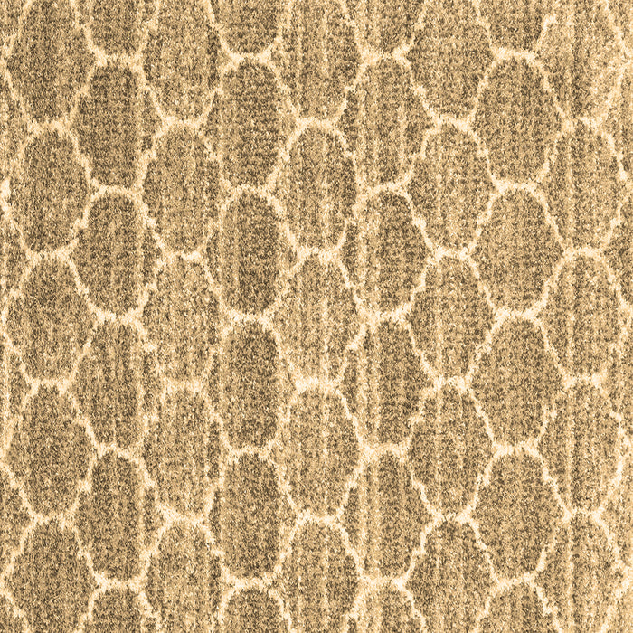 Square Trellis Brown Modern Rug, con3057brn