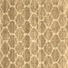 Square Trellis Brown Modern Rug, con3057brn