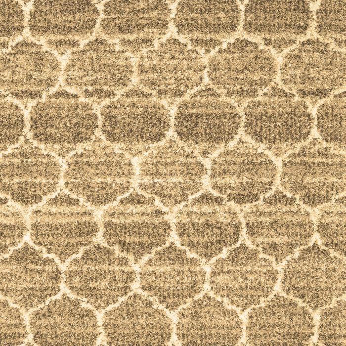 Machine Washable Trellis Brown Modern Rug, wshcon3057brn