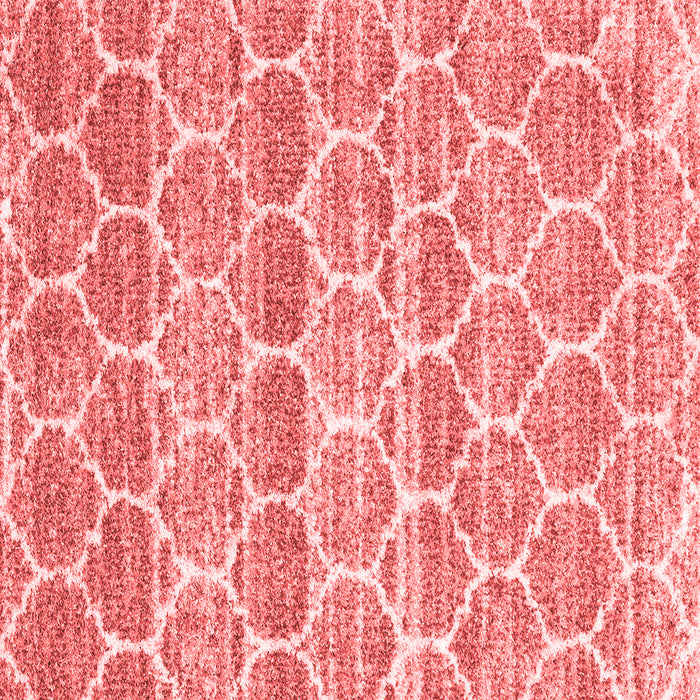 Trellis Red Modern Rug, con3057red