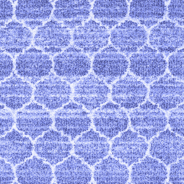 Machine Washable Trellis Blue Modern Rug, wshcon3057blu