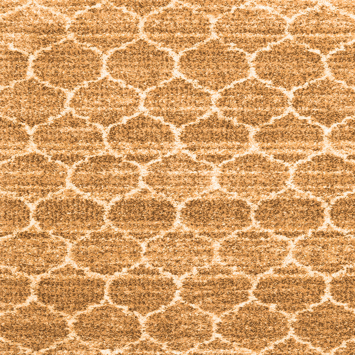 Serging Thickness of Trellis Orange Modern Rug, con3057org