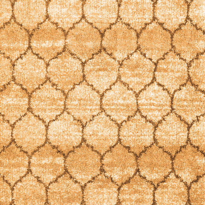 Serging Thickness of Trellis Orange Modern Area Rugs, wshcon3058org