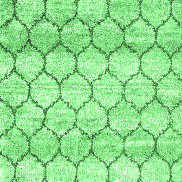 Trellis Emerald Green Modern Area Rugs, wshcon3058emgrn