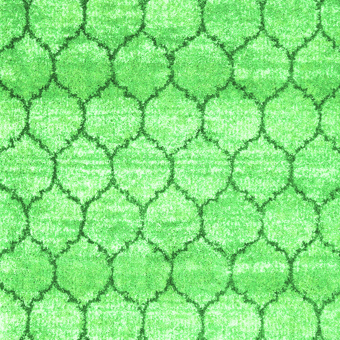 Trellis Green Modern Rug, con3058grn