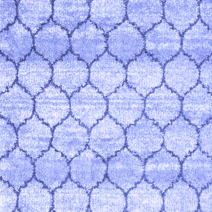 Trellis Blue Modern Rug, con3058blu