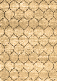 Trellis Brown Modern Rug, con3058brn