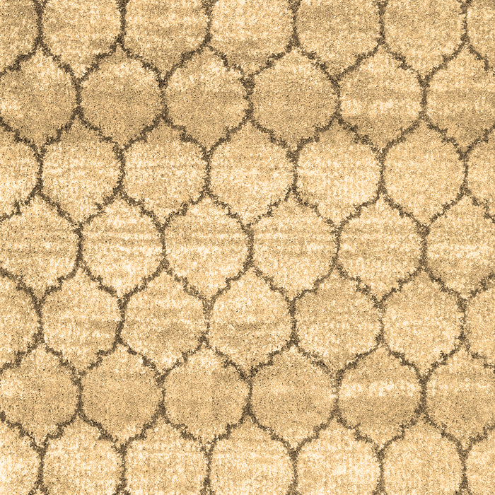 Trellis Brown Modern Rug, con3058brn