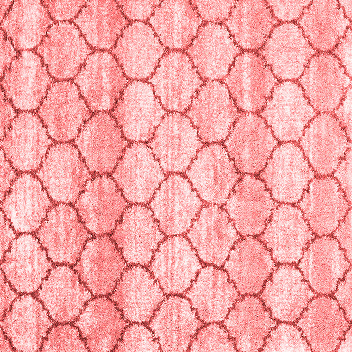 Trellis Red Modern Rug, wshcon3058red