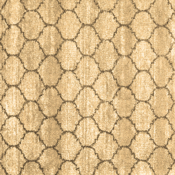 Square Trellis Brown Modern Rug, wshcon3058brn