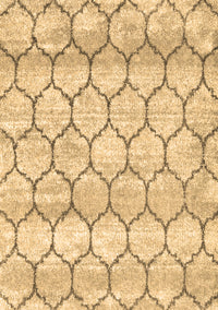 Trellis Brown Modern Rug, con3059brn