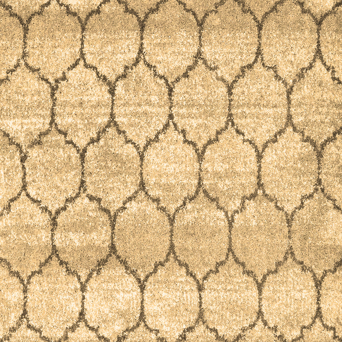 Trellis Brown Modern Rug, con3059brn