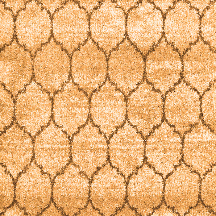 Serging Thickness of Trellis Orange Modern Area Rugs, wshcon3059org