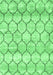 Trellis Emerald Green Modern Area Rugs, wshcon3059emgrn